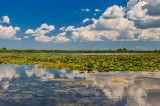 CCR a declarat neconstituțională Legea pentru modificarea Legii Rezervației Biosferei ”Delta Dunării”, “în ansamblul său”