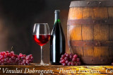 Începe Festivalul Vinului Dobrogean „Pontus Euxinus” în Piața Ovidiu din Constanța