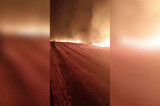 Video: În miez de noapte a ars un lan de grâu în Oltina, spre Viile, județul Constanța
