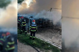 Incendiu la un adăpost de animale din Măcin. Pompierii au salvat 190 de păsări și un câine