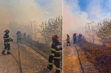 Incendiu în pădurea dintre localitățile Plauru și Pardina, Delta Dunării